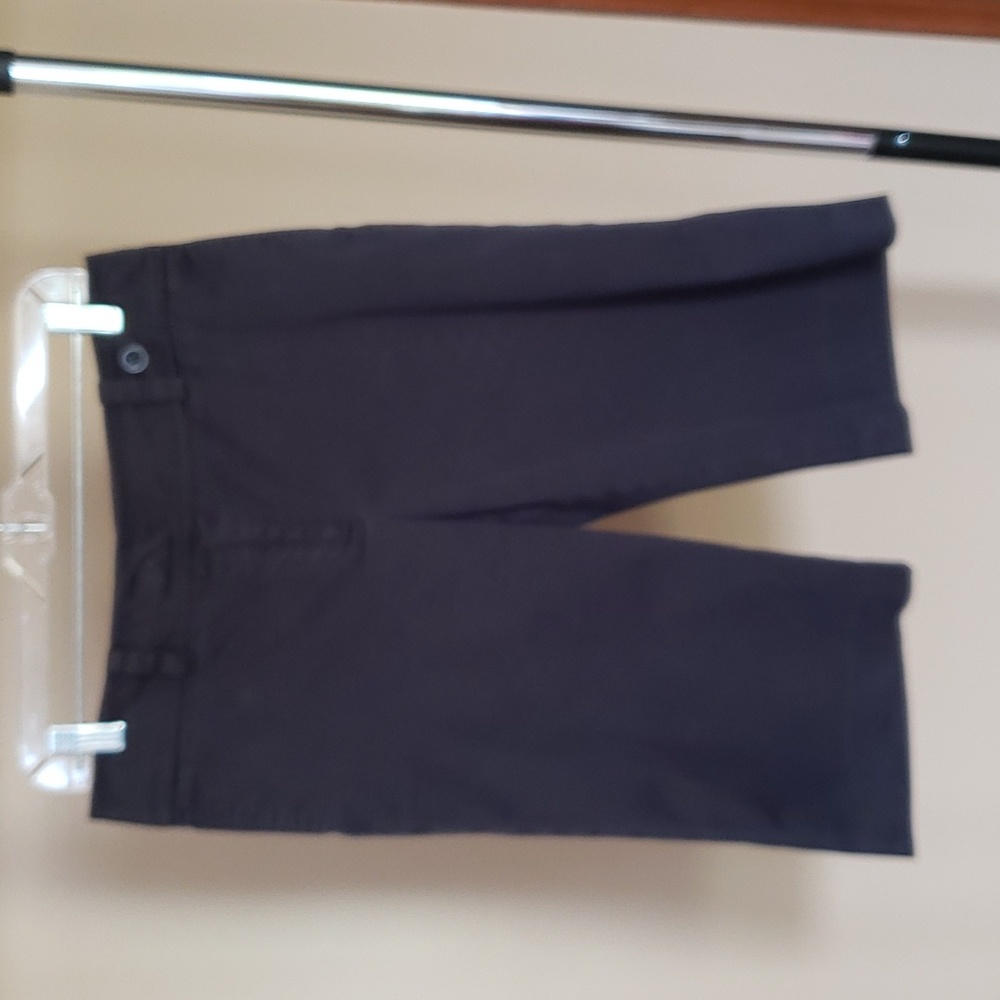 Ann Taylor Long Shorts